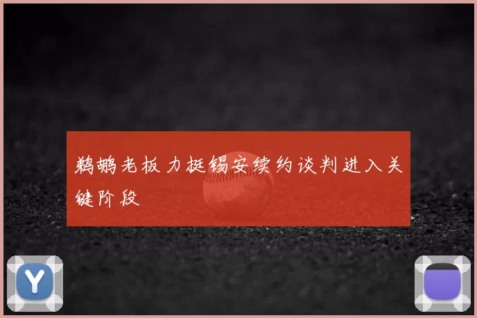 鹈鹕老板力挺锡安续约谈判进入关键阶段