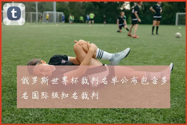 俄罗斯世界杯裁判名单公布包含多名国际级知名裁判