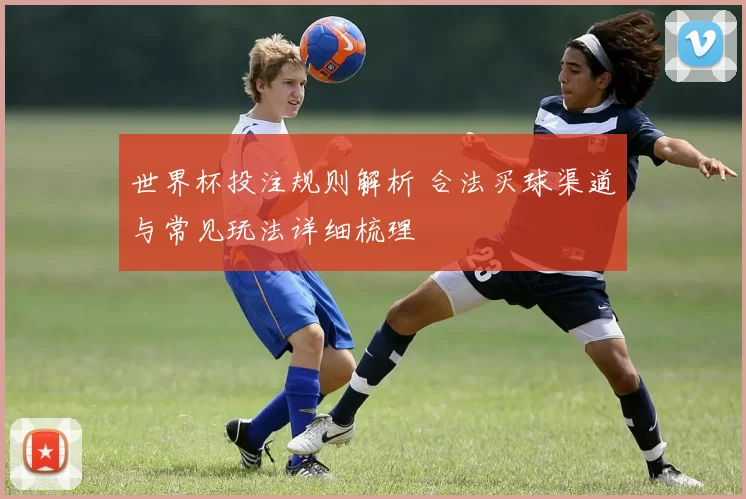 世界杯投注规则解析 合法买球渠道与常见玩法详细梳理
