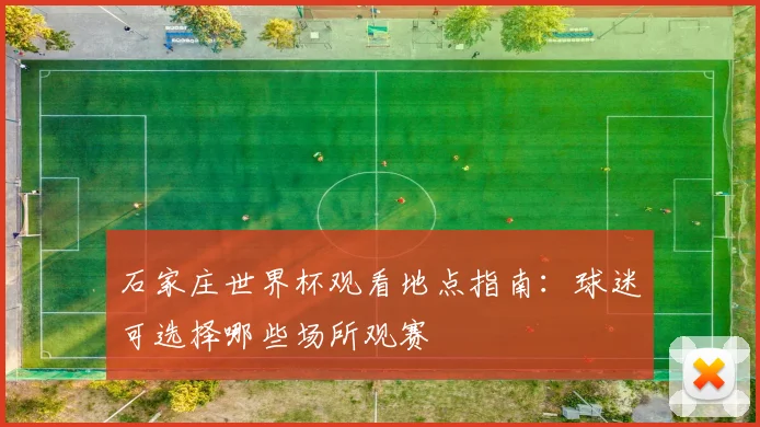 石家庄世界杯观看地点指南:球迷可选择哪些场所观赛
