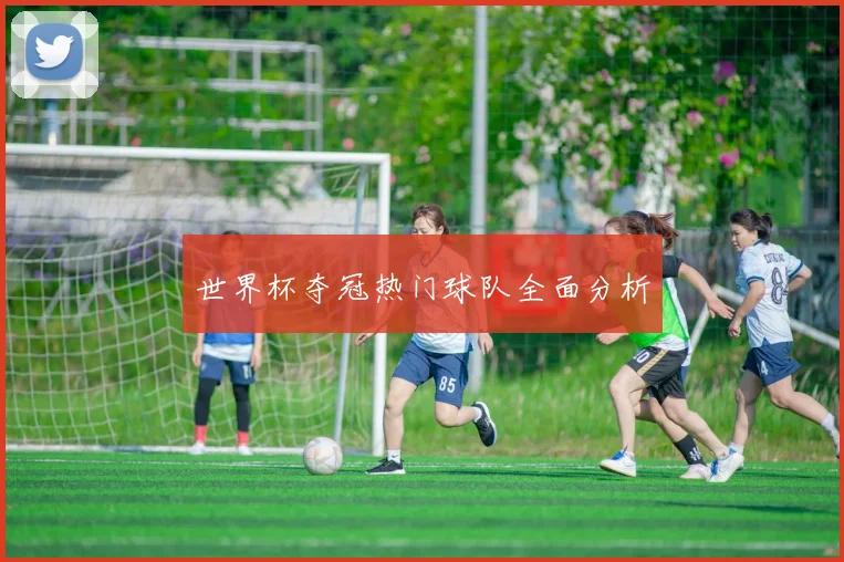 世界杯夺冠热门球队全面分析