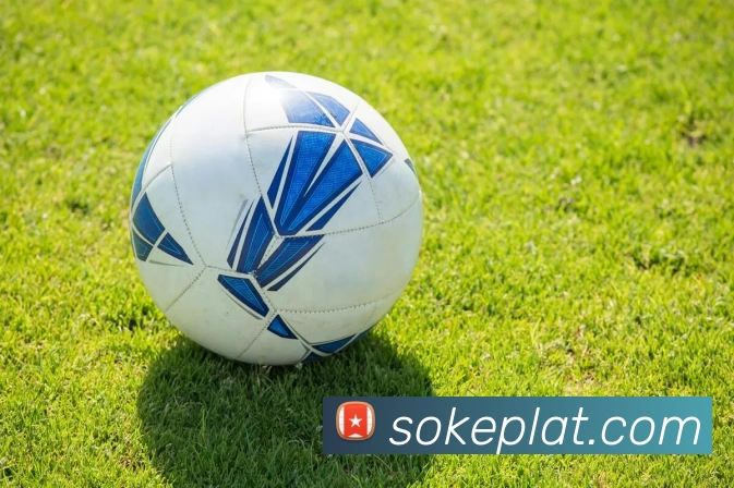 App Interface Preview